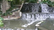 PICTURES/San Antonio Riverwalk/t_Heron3.JPG